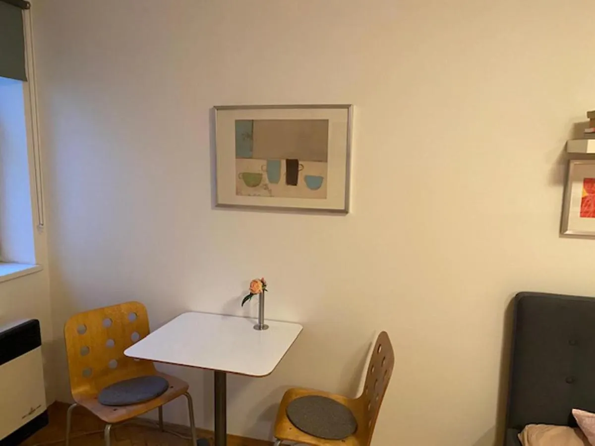 Cosy Studio Apartment Near Florenc In Prag